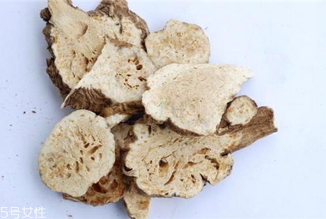 苍术的营养价值和药效,苍术的营养价值