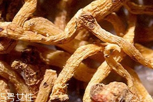 玉竹片多少钱一斤,玉竹多少钱一斤干的