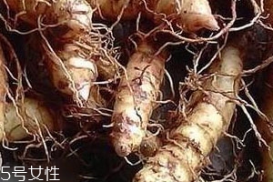 玉竹可以降血糖吗,玉竹降血糖的功效和作用