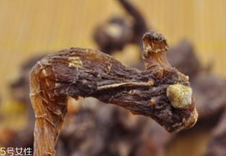 玉竹和什么配泡酒好,玉竹可以泡酒吗