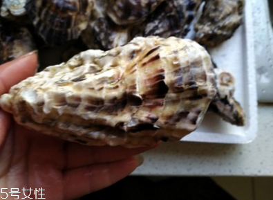 生蚝怎么样保存呢?,生蚝怎么样是坏的