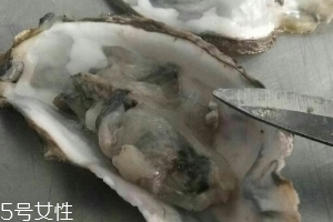 生蚝怎么样保存呢?,生蚝怎么样是坏的
