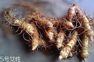 玉竹的功效和作用的功能和主治,石斛的功效和作用