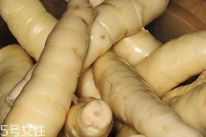 玉竹在什么季节收成,玉竹几年收获