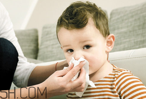 春天感冒了吃什么好的快(春天感冒吃什么药最好)