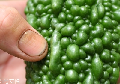 苦瓜怎么挑选,苦瓜怎么选好的 苦瓜怎么挑选,苦瓜怎么选好的