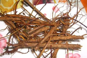 地骨皮多少钱一斤现在,中药地骨皮多少钱一斤