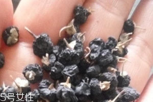 黑枸杞子泡水什么颜色,黑枸杞长什么样子