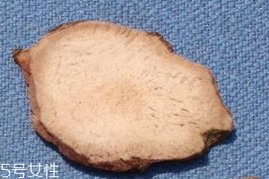 土茯苓可以泡水喝吗?功效是什么?,土茯苓的作用和功效