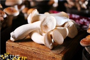 什么是杏鲍菇,杏鲍菇注意事项