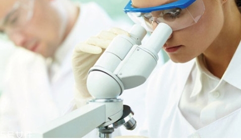 西芹籽治疗痛风有没有效果,西芹菜籽治疗痛风