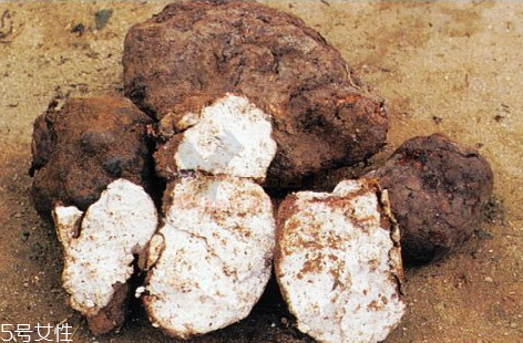 茯苓怎么吃不苦,茯苓苦不苦