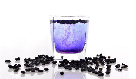 黑枸杞如何服用,黑枸杞功效以及服用方法