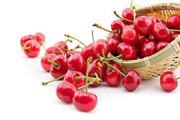 樱桃有什么营养(樱桃有什么营养价值和作用)