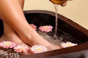 白术可以泡脚吗有什么功效,白术可以泡脚吗