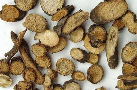 酒泡白术的正确方法,白术泡酒的功效和制作方法