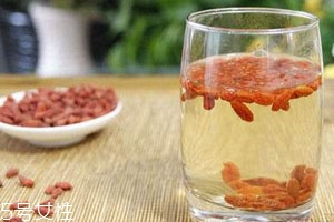 五味子什么样,五味子和什么泡水喝治失眠