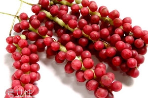 五味子是酸性还是碱性食物,五味子是酸性还是碱性中药