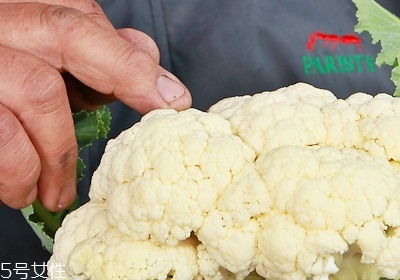 花椰菜怎么挑选,花椰菜是什么样 花椰菜怎么挑选,花椰菜是什么样