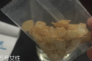 西洋参孕妇可以吃吗?,鸽子炖西洋参孕妇可以吃吗