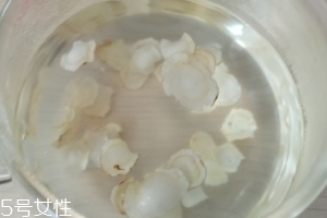 西洋参晚上可以喝吗泡水喝吗,西洋参怎样泡水喝效果最佳