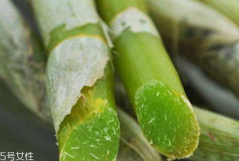 石斛的食用禁忌,石斛食用方法及禁忌 石斛的食用禁忌,石斛食用方法及禁忌