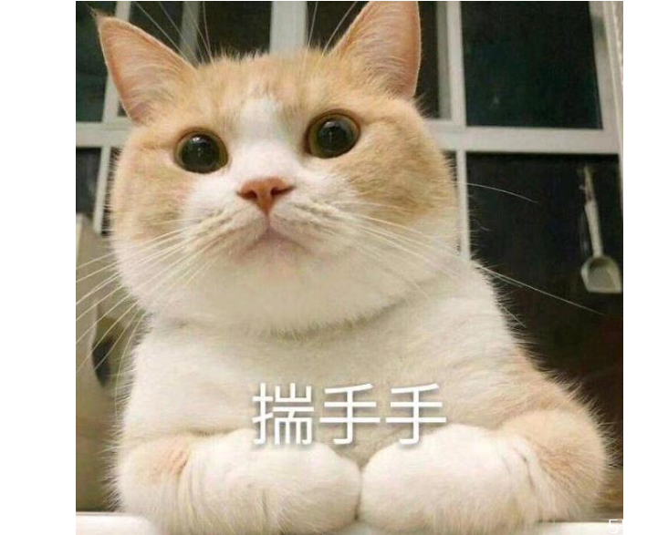 猫咪冷分3级(猫咪多少度冷)