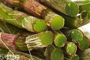 新鲜石斛价格多少钱一斤,新鲜石斛多少钱一斤2019