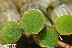 购买体验是什么意思,购买体验英语