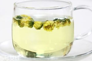 白菊怎么泡水喝,白菊怎么泡水