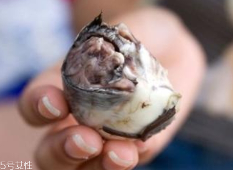 牛蛋的功效和作用禁忌,女人吃牛蛋的功效和作用