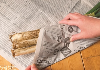 正确储存大葱的方法,大葱保鲜及储存方法