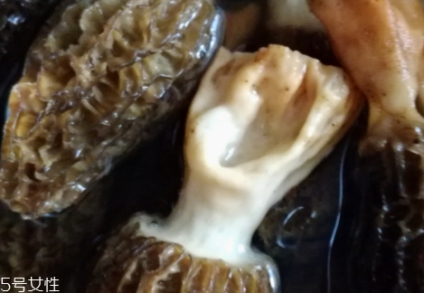 羊肚菌怎么吃比较好,羊肚菌怎么做才好吃