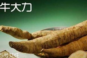 牛大力是寒性还是热性 宜忌人群,牛大力是寒性还是热性?