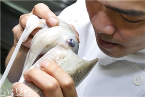 墨鱼挑选技巧,墨鱼怎么挑