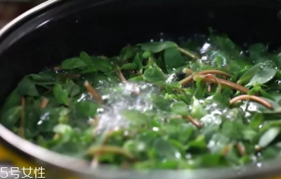 老鼠耳是什么样子的,老鼠耳的作用