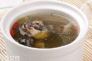 煲猪肚汤可以放当归吗,炖猪肚可以放当归吗