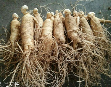 西洋参怎么样服用最好,西洋参怎么样的才是最好