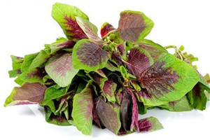 各型贫血产生的原因,贫血类型及原因 各型贫血产生的原因,贫血类型及原因