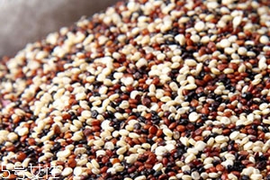 藜麦的正确吃法需要提前泡吗,藜麦可以打豆浆吗