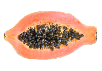 木瓜有什么品种,木瓜有多少品种图片 木瓜有什么品种,木瓜有多少品种图片