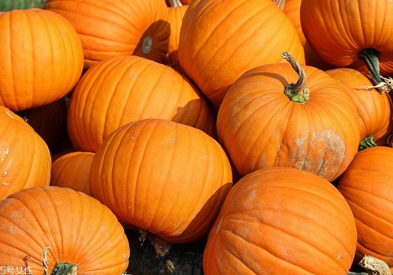 南瓜有多少品种,超市卖的南瓜是什么品种