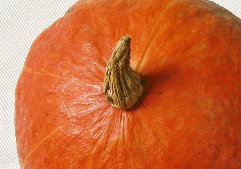 南瓜如何挑选,南瓜小知识