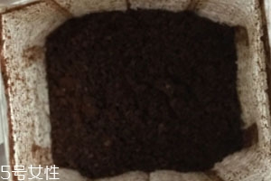 蓝山挂耳咖啡好喝吗,蓝山风味挂耳咖啡粉