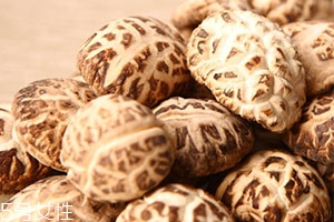 花菇是什么菇,花菇是香菇吗