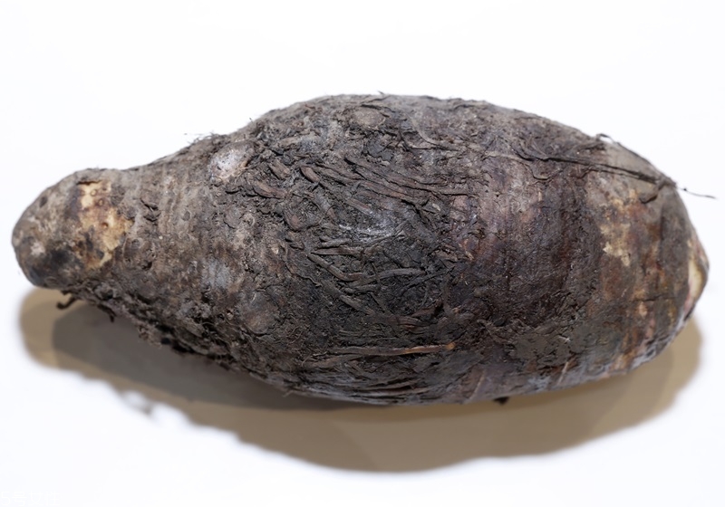 挑选芋头的几个小窍门,怎么挑选芋头