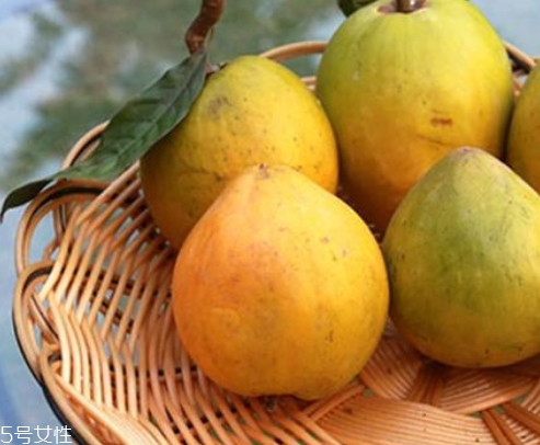 台湾黄晶果好吃吗,大金沙黄晶果好吃吗