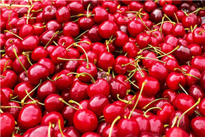 樱桃的挑选方法,樱桃怎么挑才是最好的