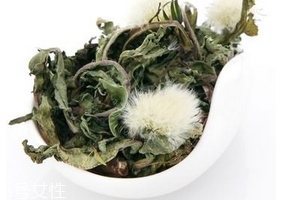 蒲公英茶有什么效果,喝蒲公英茶有哪些功效