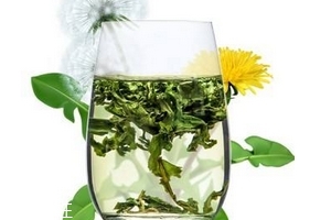 哪个品牌的蒲公英茶好,蒲公英茶哪个牌子好点